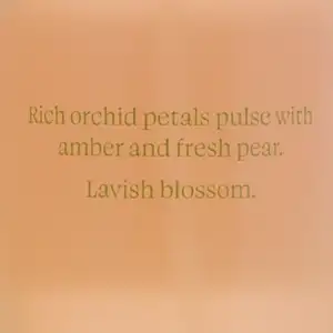 Cпрей Lush Orchid Amber Victoria Secret - Limited Vivid Blooms. Поєднання нот орхідеї, амбри та соковитої груші створює спокусливий фруктово-квітковий букет.✨ Оригінал із США  у зручному об’ємі 250 мл.