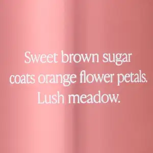Спрей для тіла від вікторія сікрет ( Victoria's Secret ) Rich Honeysuckle Apricot Mist. Осіння колекція містів. Тип: квітково-фруктовий
