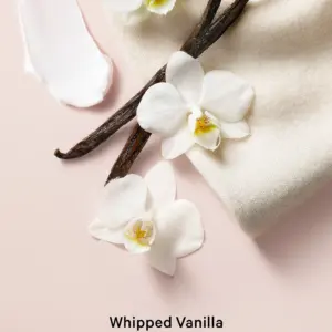 Опис ванільного спрея з оновленої класичної колекції Victoria's Secret Bare Vanilla Body Mist NEW