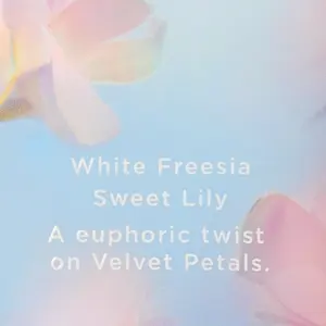 Victoria’s Secret Velvet Petals Bliss лосьйон для тіла 236 мл