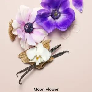Midnight Bloom Shimmer Victoria's Secret Body Lotion 236 мл – квітково-деревний аромат з ваніллю