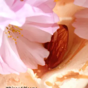 Парфумований Спрей Velvet Petals Brulee Victoria’s Secret 250 мл