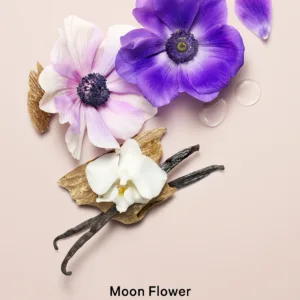 Оновлений оригінальний лосьйон для тіла Victoria's Secret Midnight Bloom NEW 236 мл з класичної колекції.